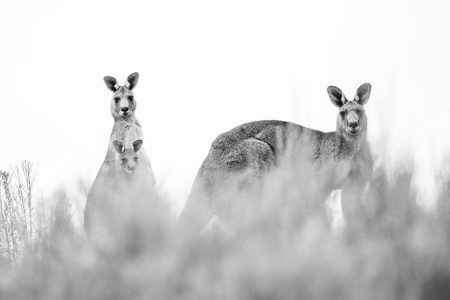 Joey Logano Owns Up to Restart Crash After a Challenging Day on the Track