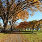Unveiling the Exciting New IndyCar Track Layout and Event Logo in Washington D.C