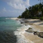 Andre Lotterer and the Genesis LMDh project: Forging a new era in WEC from scratch