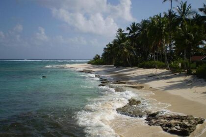 Andre Lotterer and the Genesis LMDh project: Forging a new era in WEC from scratch