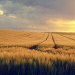 LAS VEGAS GRAND PRIX AND GIRL SCOUTS OF SOUTHERN NEVADA INTRODUCE ONE-OF-A-KIND WOMEN IN MOTORSPORT BADGE – Formula 1 Las Vegas Grand Prix