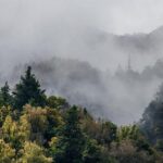 Alpine to Conclude Its WEC Hypercar Journey After 2026: What’s Next?