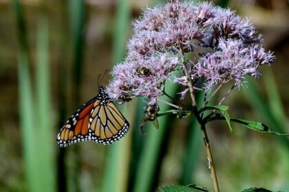 Joe Gibbs Racing Challenges Spire’s Controversial ‘Trade’ Deal: A Deep Dive into the Discovery Rebuttal