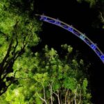 Experience the Thrill of the 2026 F1 Chinese Grand Prix: Your Ultimate Guide to Watching for Free!