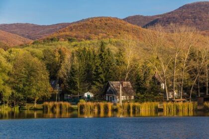 Louis Deletraz: Thriving in Collaboration During His Second Year with the WTR Cadillac Program