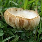 Colin Braun Ready to Dominate: Aiming for Victory at the 12 Hours of Sebring!