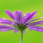 Get Ready for 2026: Exciting Insights into Cape Motorsports Powered by ECR!