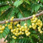 Ford Unveils Logan Sargeant as a Trailblazer in the WEC Hypercar Lineup!