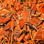 Chaos on the Track: Missed Shift Triggers Massive Pileup in Martinsville NASCAR Race!