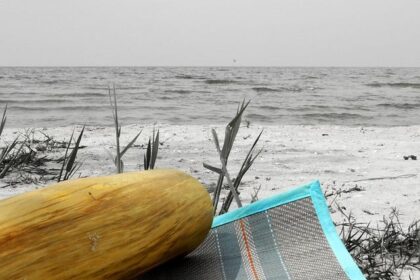 Brandon Overton Unveils His Exciting Tour Plans for 2026!