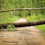 Rally Islas Canarias Route Revamped After Storm Damage!