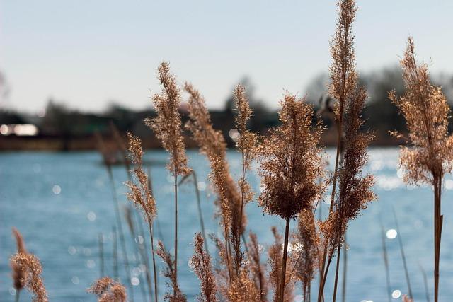 Helio Castroneves Sets His Sights on a 2026 Indianapolis 500 Comeback with Meyer Shank!