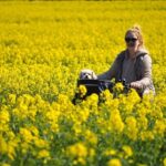 Exciting Storylines and Entries for the NASCAR Modified Tour in New Hampshire!