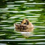 Def Leppard’s Vivian Campbell At PRI Show – Performance Racing Industry