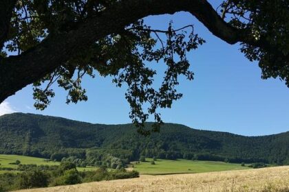 Alli Owens Teams Up with Costner Motorsports for Thrilling Talladega ARCA Showdown!