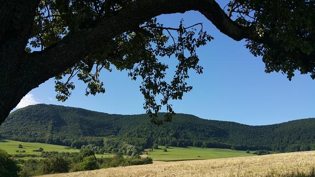 Alli Owens Teams Up with Costner Motorsports for Thrilling Talladega ARCA Showdown!