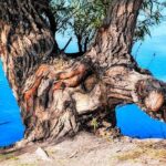 High Stakes at Bristol: Kyle Larson and Others Face Penalties Before NASCAR Showdown!