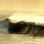Felix Rosenqvist’s Rollercoaster of Emotions After Heartbreaking Long Beach Near-Win