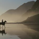 Zak Brown Predicts Christian Horner’s Unwavering Return to F1