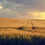 Revving Up STEM: Scouting America and AB Motorsports Ignite Youth Engagement Through NHRA Partnership!