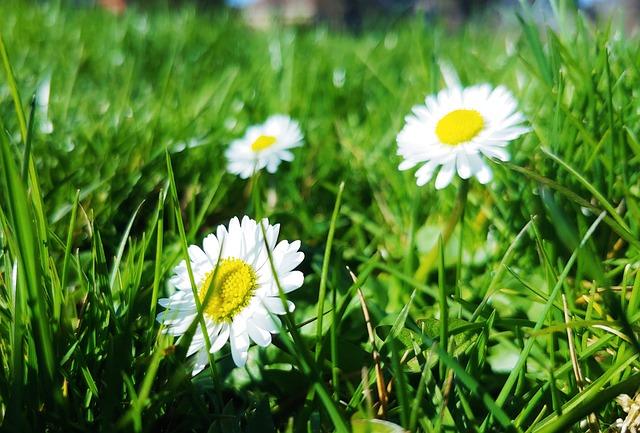 Ryan Blaney: The Unsung Hero Behind the Penske Pit Crew