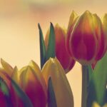 “Sometimes it’s just terrible”: The failure that threw Jules Gounon out of DTM victory fight