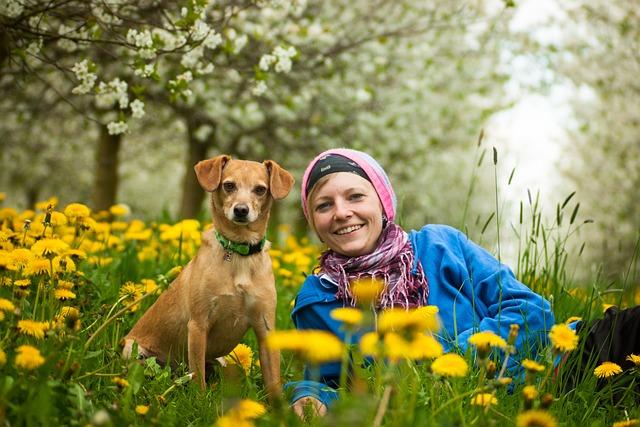 DXDT IMSA Team’s Corvette Will Miss Laguna Seca After a Hauler Fire – Road & Track