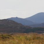 Lewis Selby joins experienced NAPA Racing UK entry – TouringCarTimes