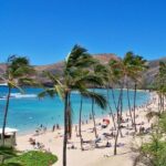 Reviving the Excitement: Rediscovering Hawaii’s Pineapple Grand Prix and Other Forgotten Sports Car Racing Legends
