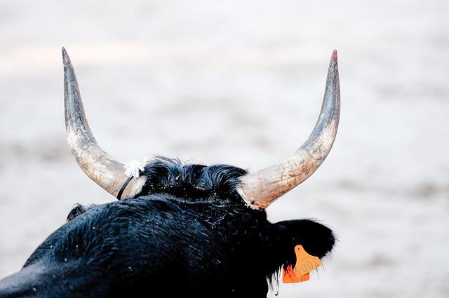 Racing Bulls Ready to Shatter Records in F1 Constructors’ Championship-No Team Orders Needed!