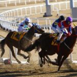 Unleashing the Excitement: A Bold New Horse Racing League Set to Rival Formula 1!