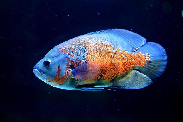 Oscar Tunjo Shines in Exciting Season Opener of the VP Racing Challenge at Daytona!