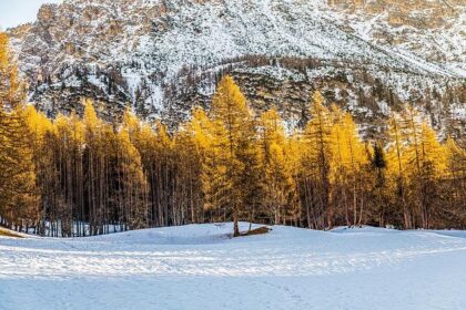 Experience the Adrenaline: Conquer the Epic Cortina Bobsleigh Challenge!